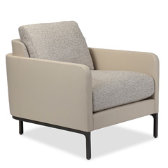 Parkview Lounge Chair (with loose cushion)